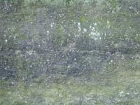 Wallpaper de muro velho